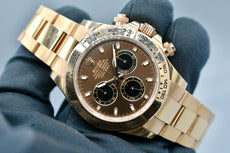 Rolex Cosmograph Daytona Everose Gold Chocolate Dial 116505 2023