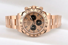 Rolex Cosmograph Daytona Everose Gold Sundust Panda Dial 116505 2020