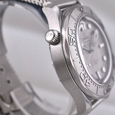Omega Seamaster Diver 300m Grey Dial 2026